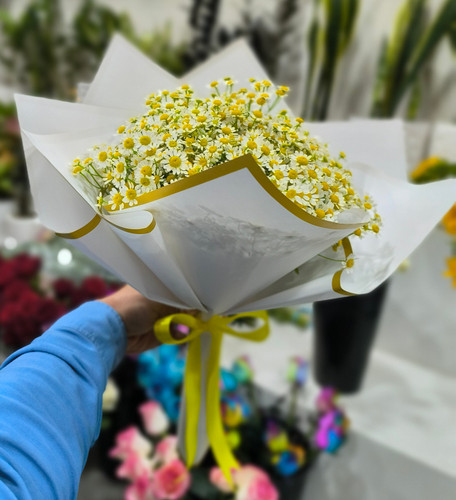 دسته گل بابونه